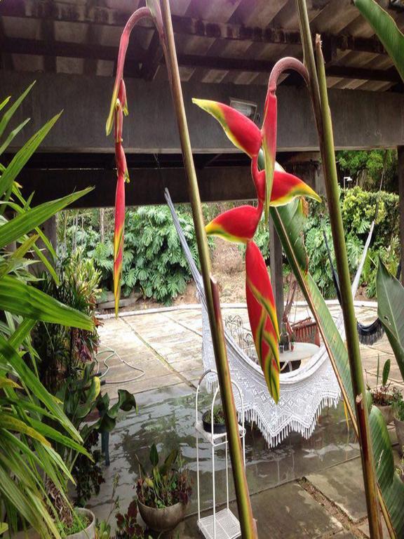 Braunes Guest House โนวาฟริบูร์โก ภายนอก รูปภาพ