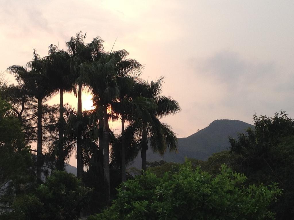 Braunes Guest House โนวาฟริบูร์โก ภายนอก รูปภาพ