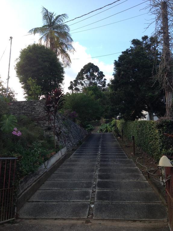 Braunes Guest House โนวาฟริบูร์โก ภายนอก รูปภาพ