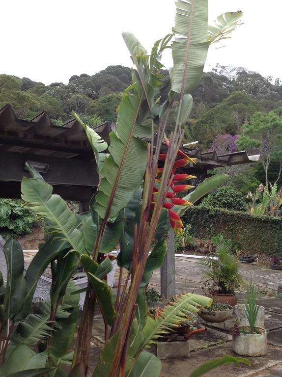 Braunes Guest House โนวาฟริบูร์โก ภายนอก รูปภาพ